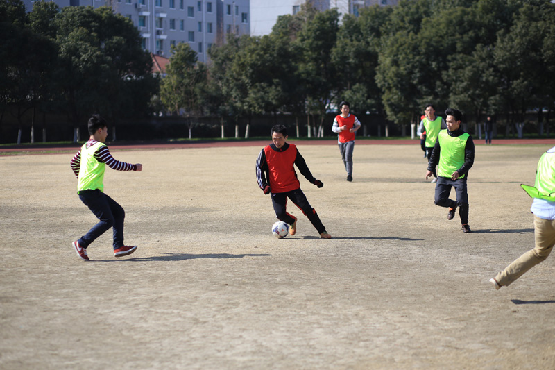 2024澳门2024免费原料